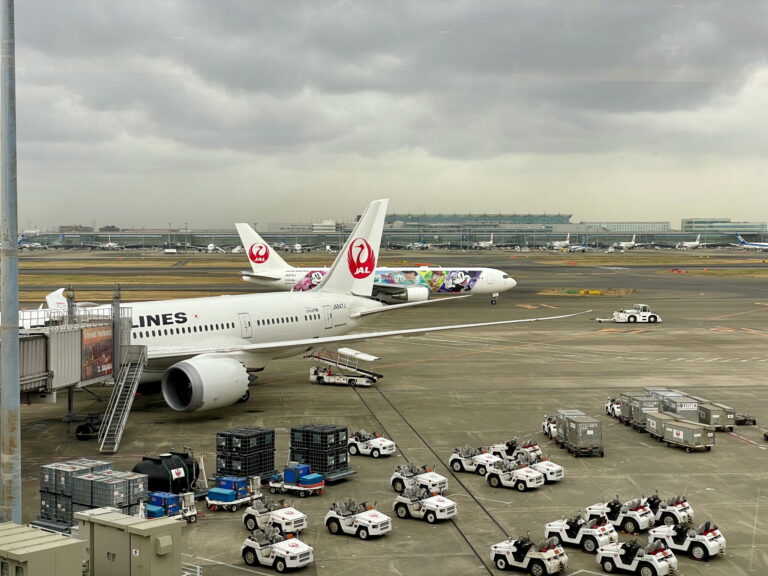 JAL 787-8 and 767-300ER (Disney 100th Anniversary Livery) @ HND